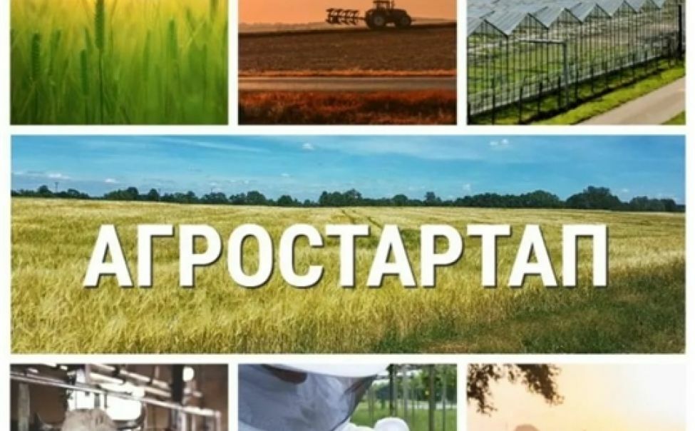 На Камчатке завершился конкурсный отбор на получение грантов «Агростартап»